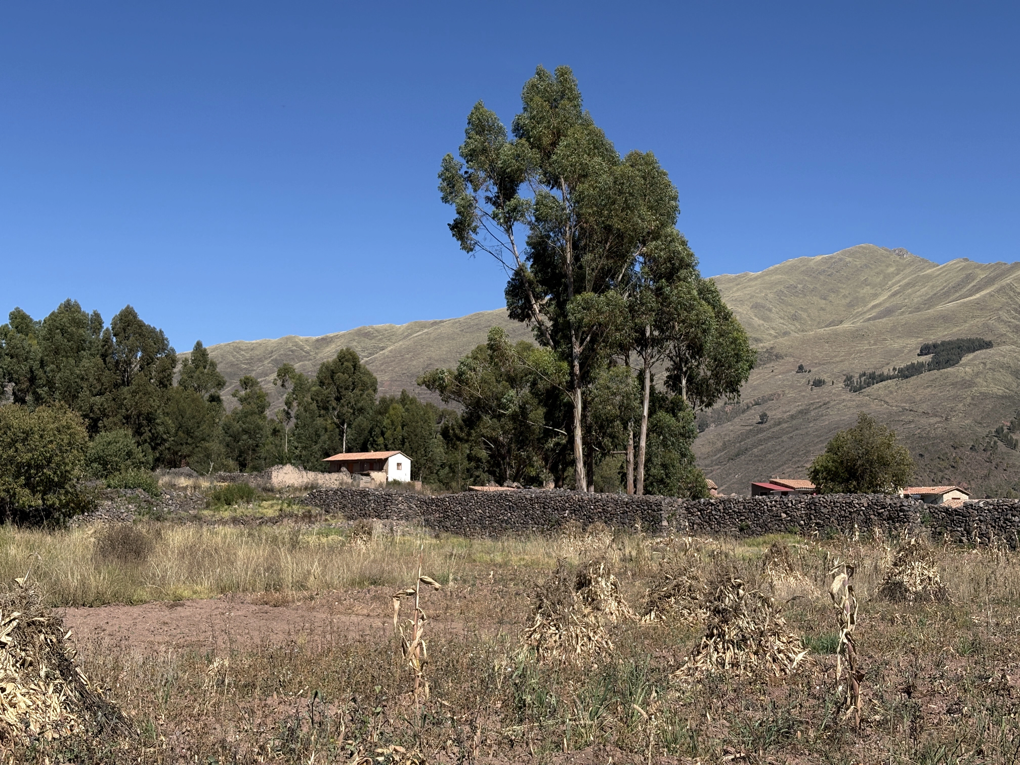 Puno Cusco drive