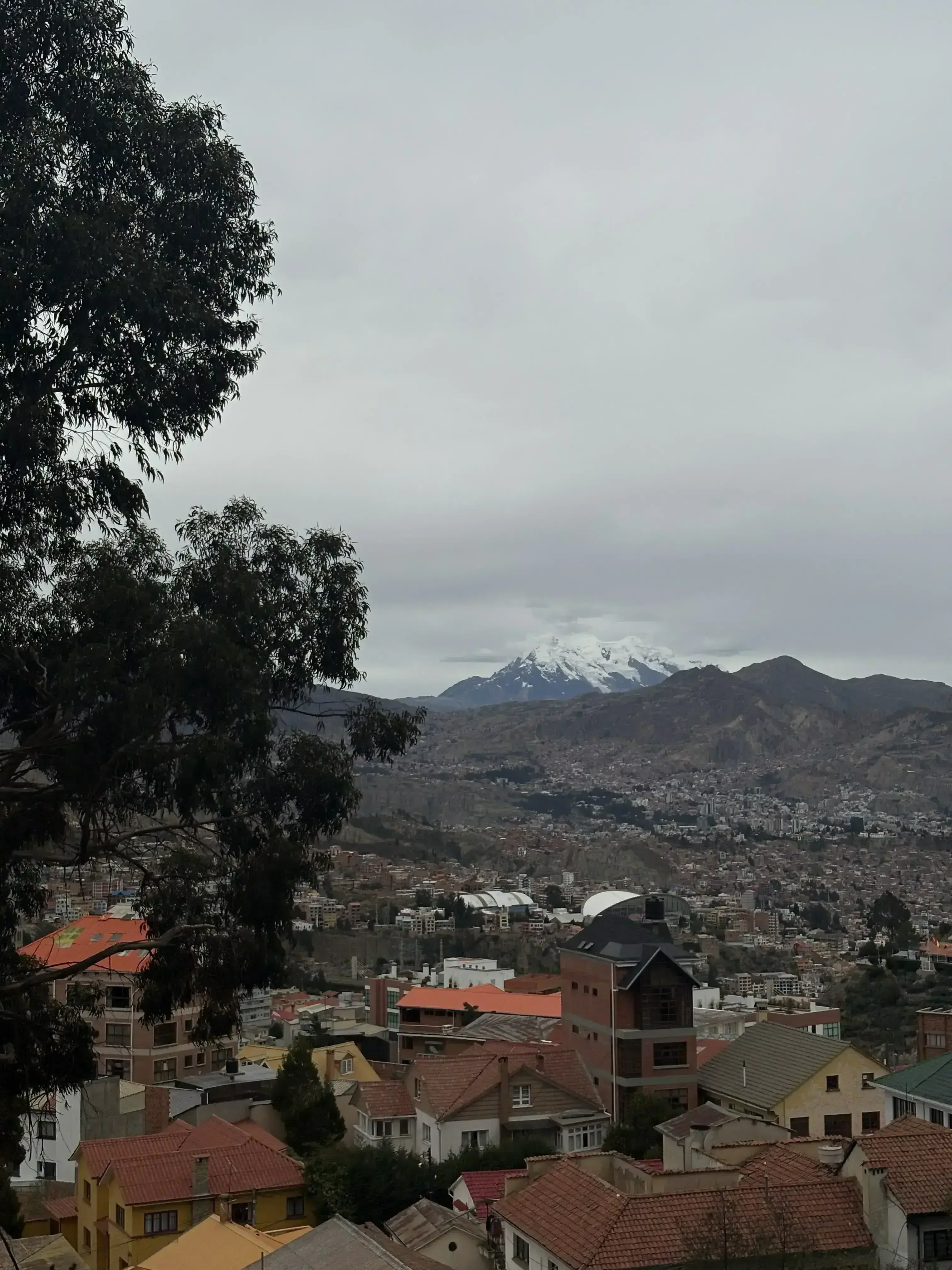 Illimani