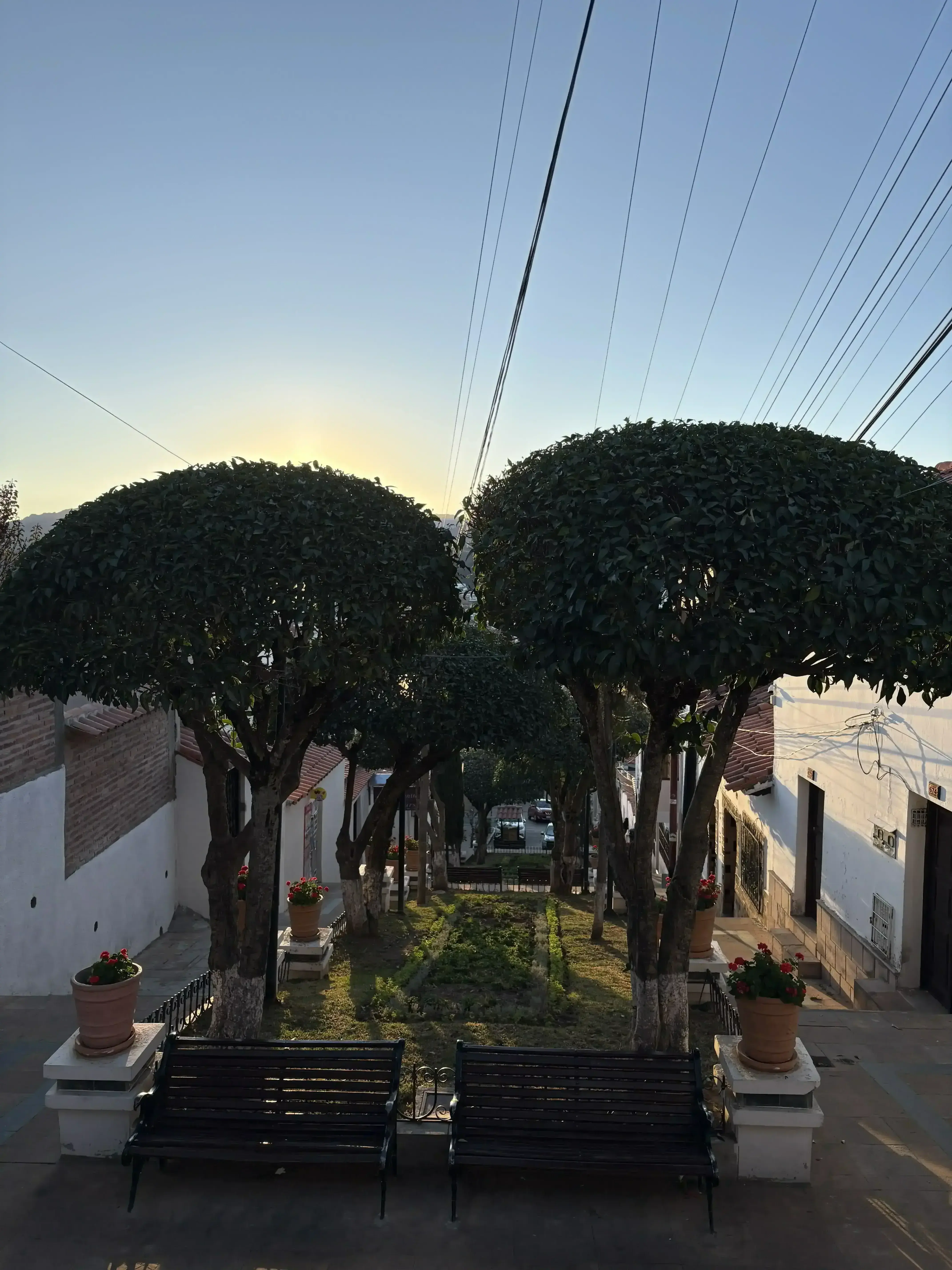 Sucre