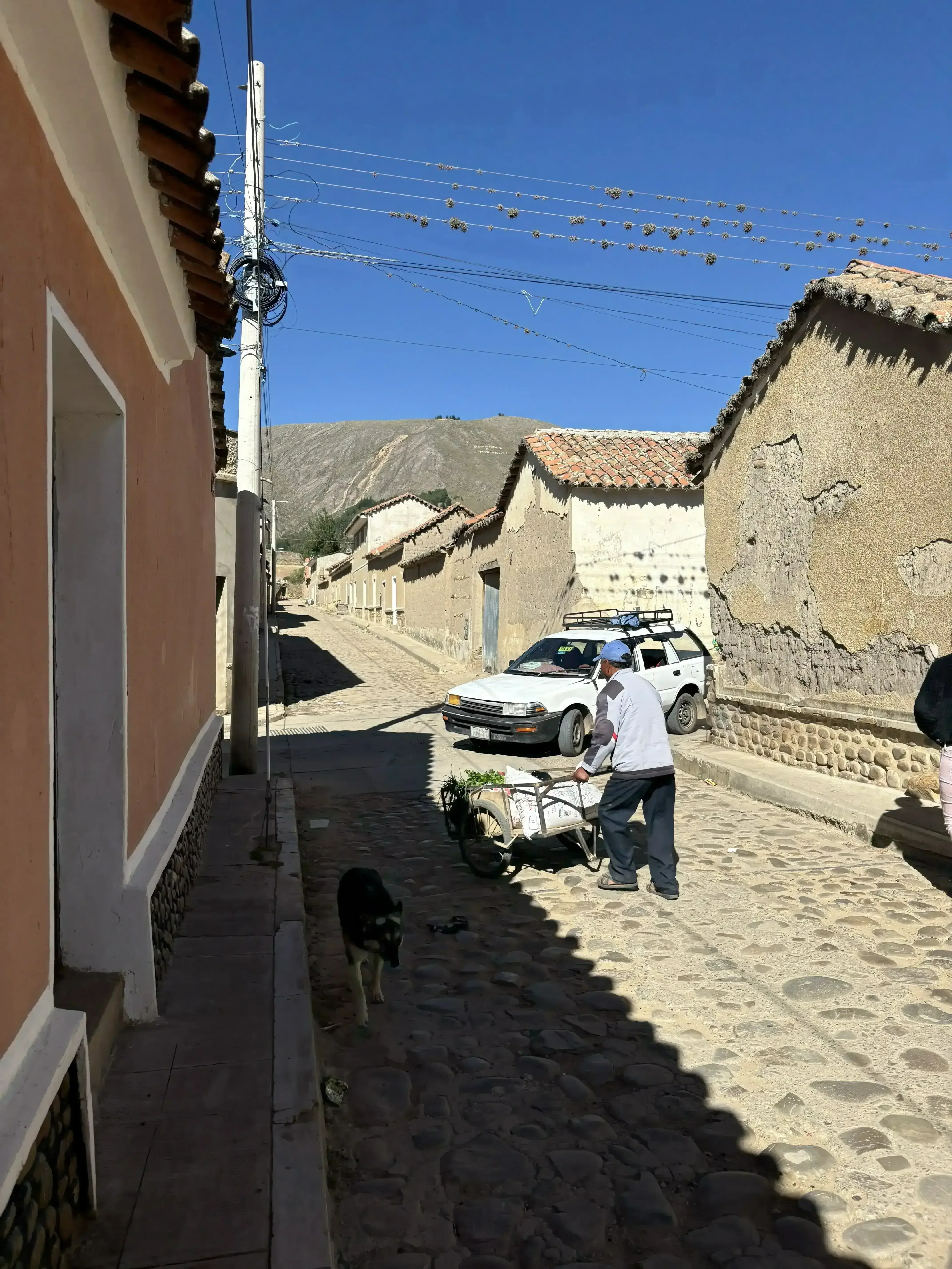 Tarabuco market